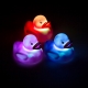 Colour Changing Duck Lights thumbnail image 0