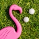 Flamingolf thumbnail image 2