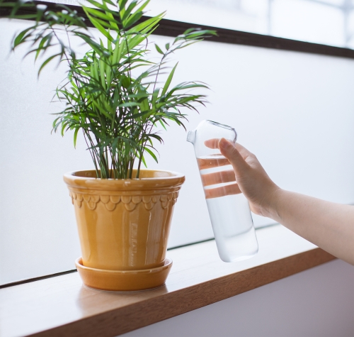Plant Buddy - Design Gießkanne aus Glas