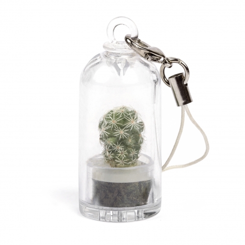 Petplant - Cactus