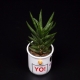Tokidoki - Yoghurt Planter thumbnail image 2