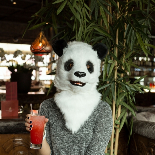 Thumbs Up UK : Panda Mask