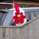 Rooster Mask thumbnail image 0