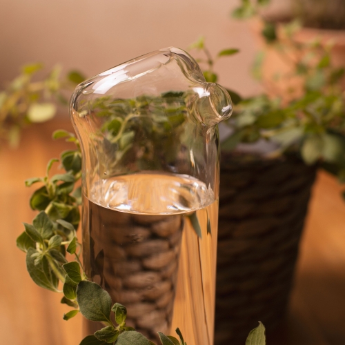 Plant Buddy - Design Gießkanne aus Glas