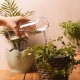 Plant Buddy Watering Can  thumbnail image 0