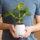 Plant Pot Speaker thumbnail image 1