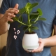 Plant Pot Speaker thumbnail image 0