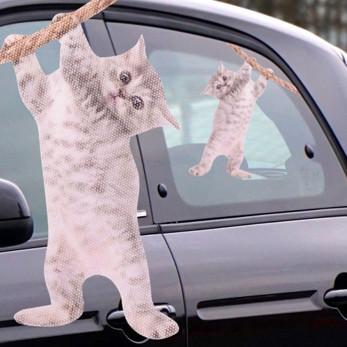 Ride With Cat